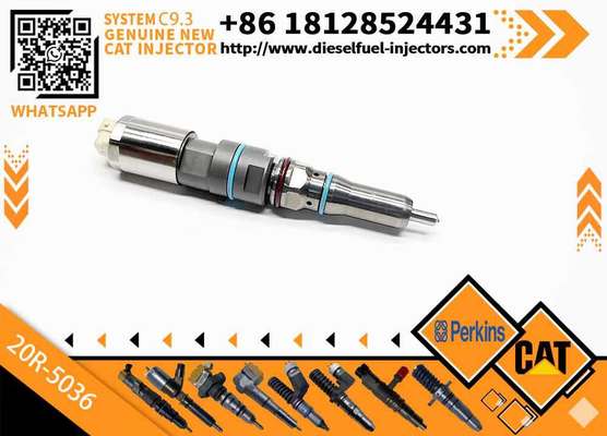 Quality Common Rail Fuel Injector 363-0493 456-3493 20R-5036 for CAT Engineering Machinery for C9.3 Construction Machinery Parts