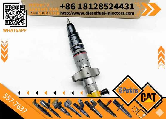 Wholesale Diesel Fuel Injector 387-9437 387-9438 557-7633 557-7637 328-2573 3879433 for Caterpillar C9 Engine