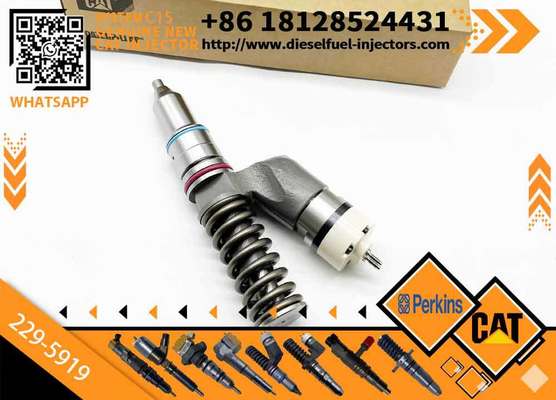 Common Rail Injector Assy Injector 211-3025 10R-0955 10R-8500 229-5919 10R-1000 Engine C15 2113025